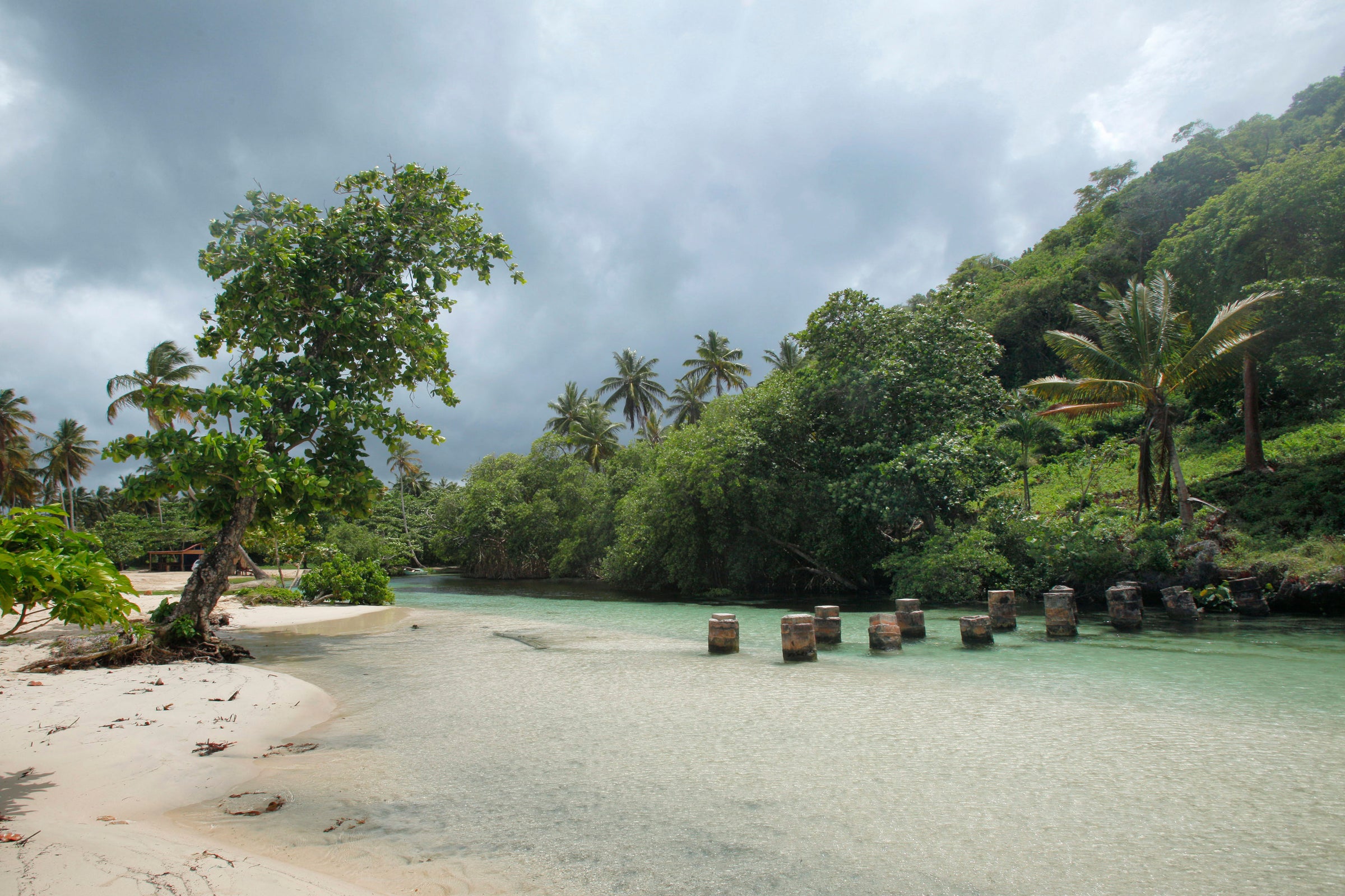 From The Dominican Republic